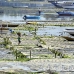 farming_seaweed_nlem_h_0734_bal4031.jpg